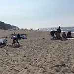 Bolero Dziwnówek