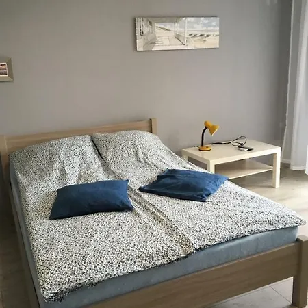 Bolero 드지우노웨크